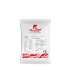 WORLDCHEM DDX Ağır Kir Yağ ve Kan Leke Sökücü